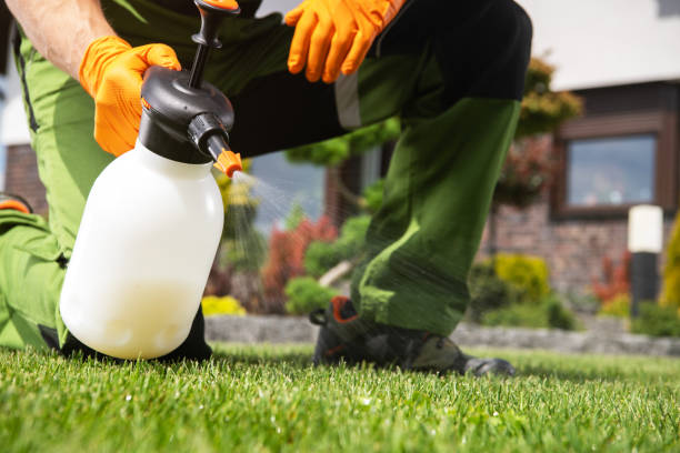 Best Bed Bug Extermination  in Greenwood Village, CO