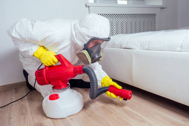 Trusted Greenwood Village, CO Pest Control Experts
