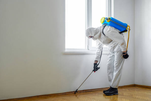 Best Commercial Pest Control Services  in Greenwood Village, CO