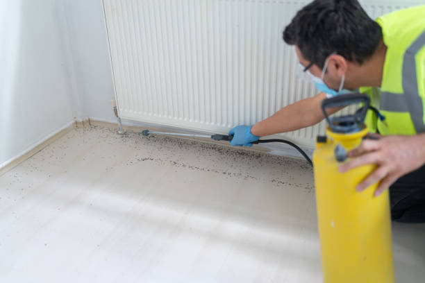 Best Pest Removal Services  in Greenwood Village, CO